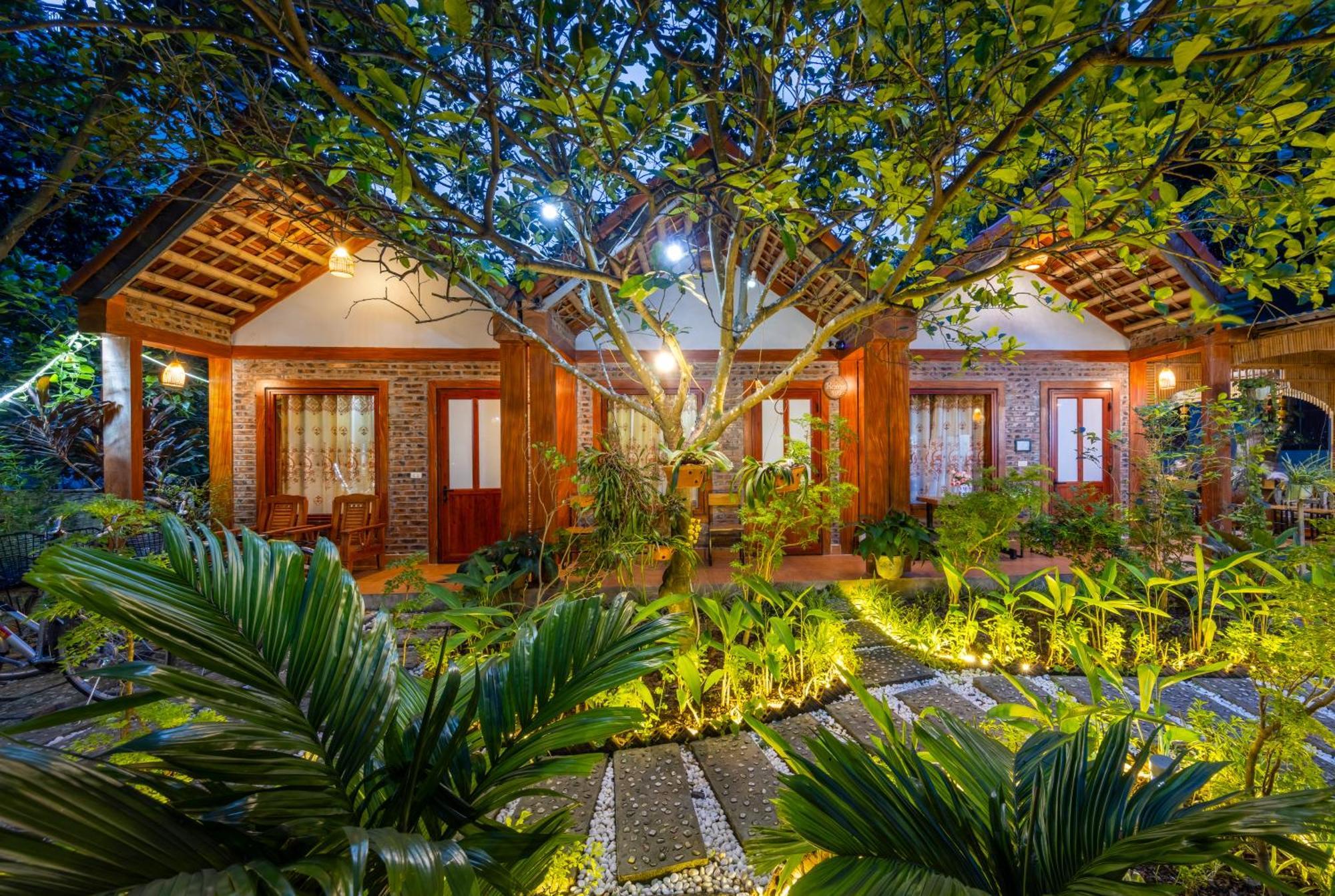 Van Lam Tam Coc Moonlight Bungalow מראה חיצוני תמונה