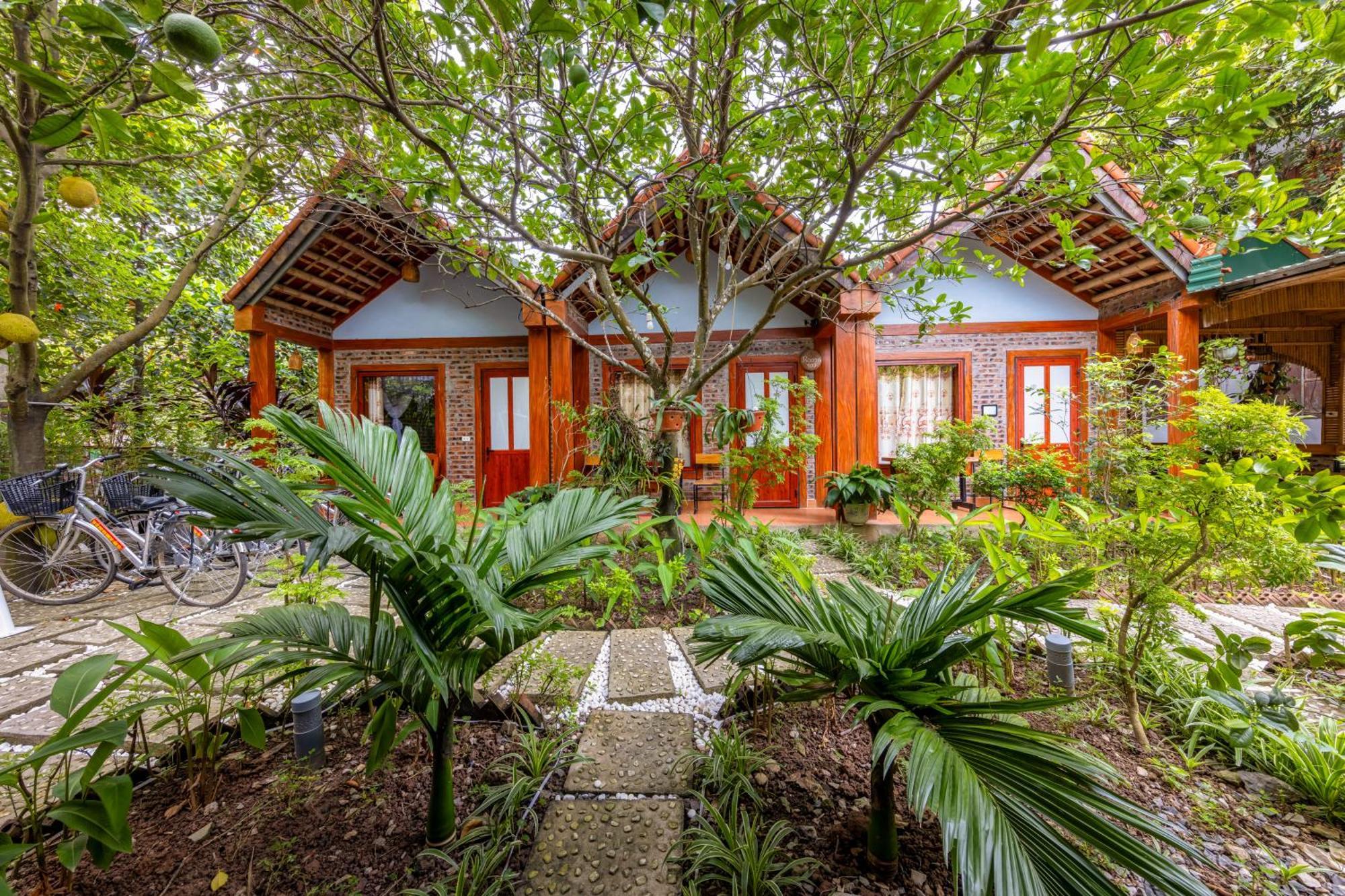 Van Lam Tam Coc Moonlight Bungalow מראה חיצוני תמונה
